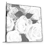 service-photos-on-canvas