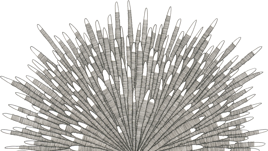 Pen and ink artwork.